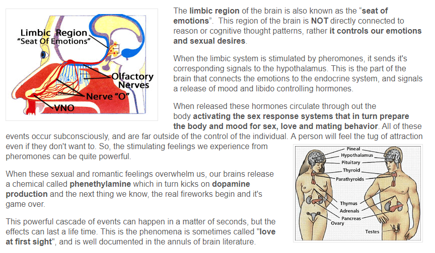 Pheromone Advantage How does this help you